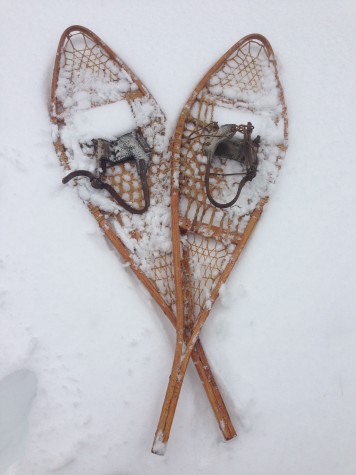 A pair of authentic Beaver Tail snowshoes in good, usable condition. Made in 1948.