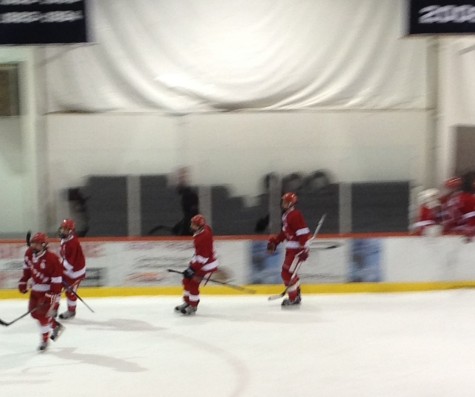 After the first goal by Matt Egan the line celebrates with their teammates.