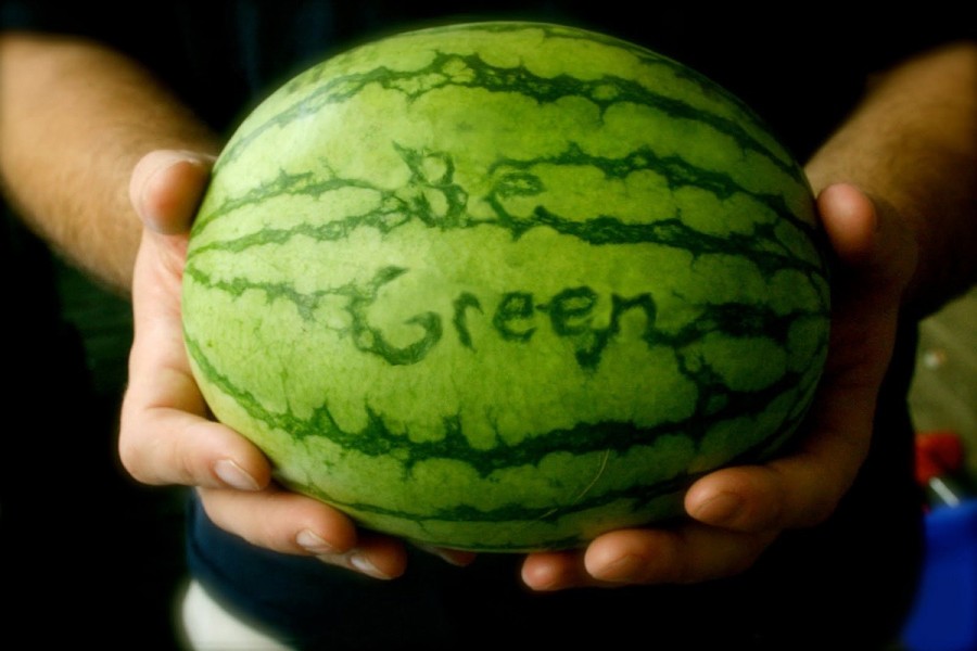 Be Green Watermelon by Isabel Allen (Senior)