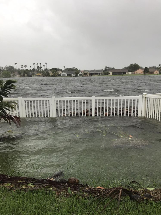 Ocean water that flooded into Kaitlin’s backyard, taken minutes after Hurricane Irma passed.