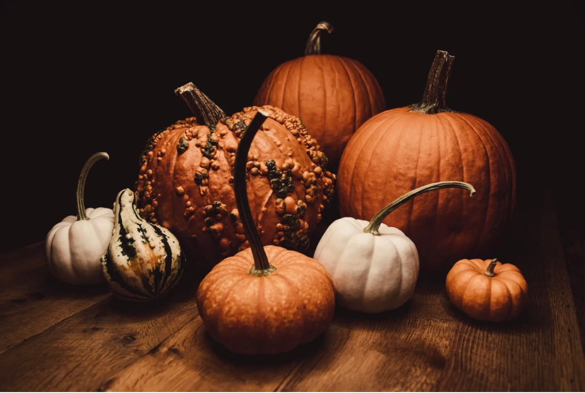 Halloween pumpkins originated in Ireland with carved turnips and evolved to the use of pumpkins in the United States due to their availability and ease of carving.
Photo by Tim Mossholder
