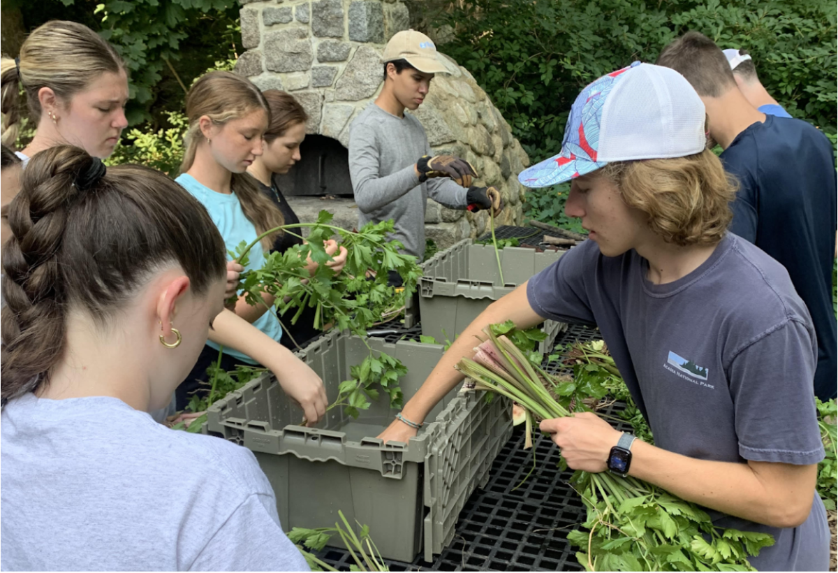 Holly Hill Farm volunteers washing produce
