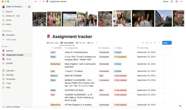 This image is a screenshot of my assignment tracker that I use on the app Notion. 
