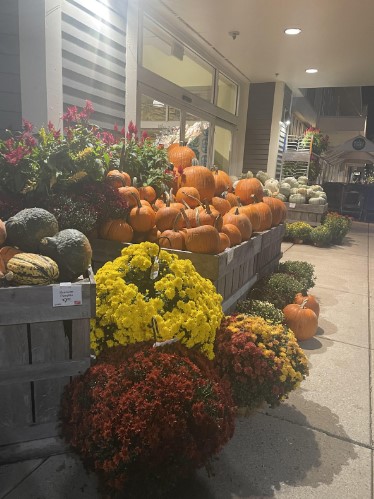 Photo of Pumpkins outside of the local grocery store getting ready for fall. (Credit: Casey Teahan)
