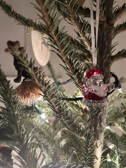 A trimmed Christmas tree, a common way to decorate for the holiday season.