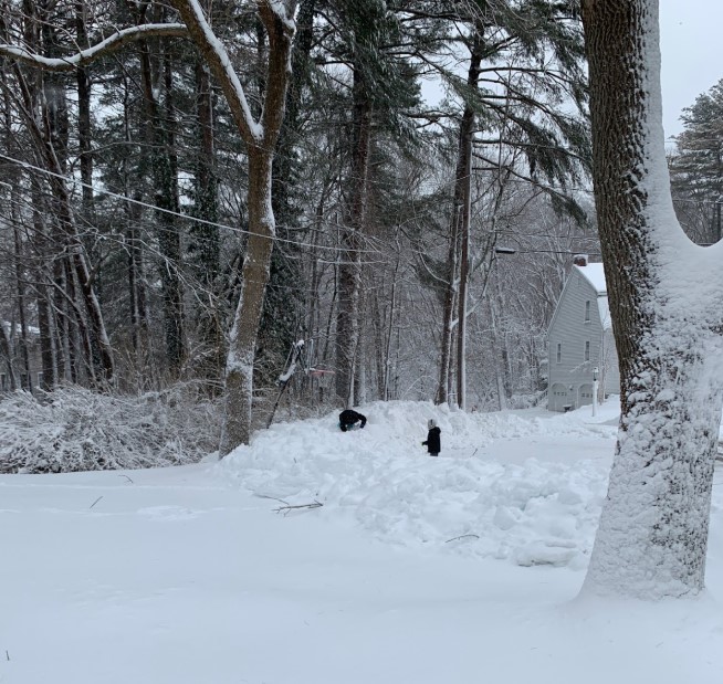 Two neighbors playing in the snow after a blizzard.
