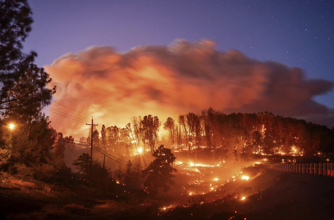 Fires have continued to spread through California forests in and around Los Angeles