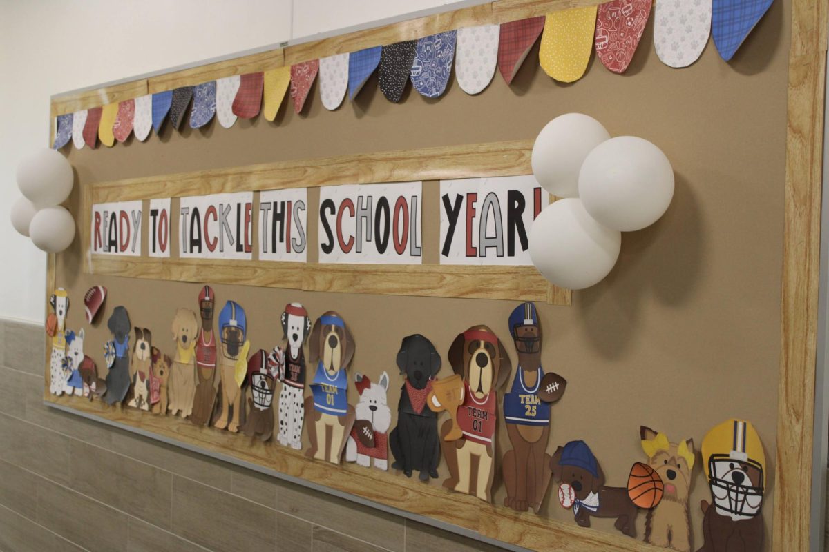 Teachers worked hard to decorate the bulletin boards for kids starting school. 