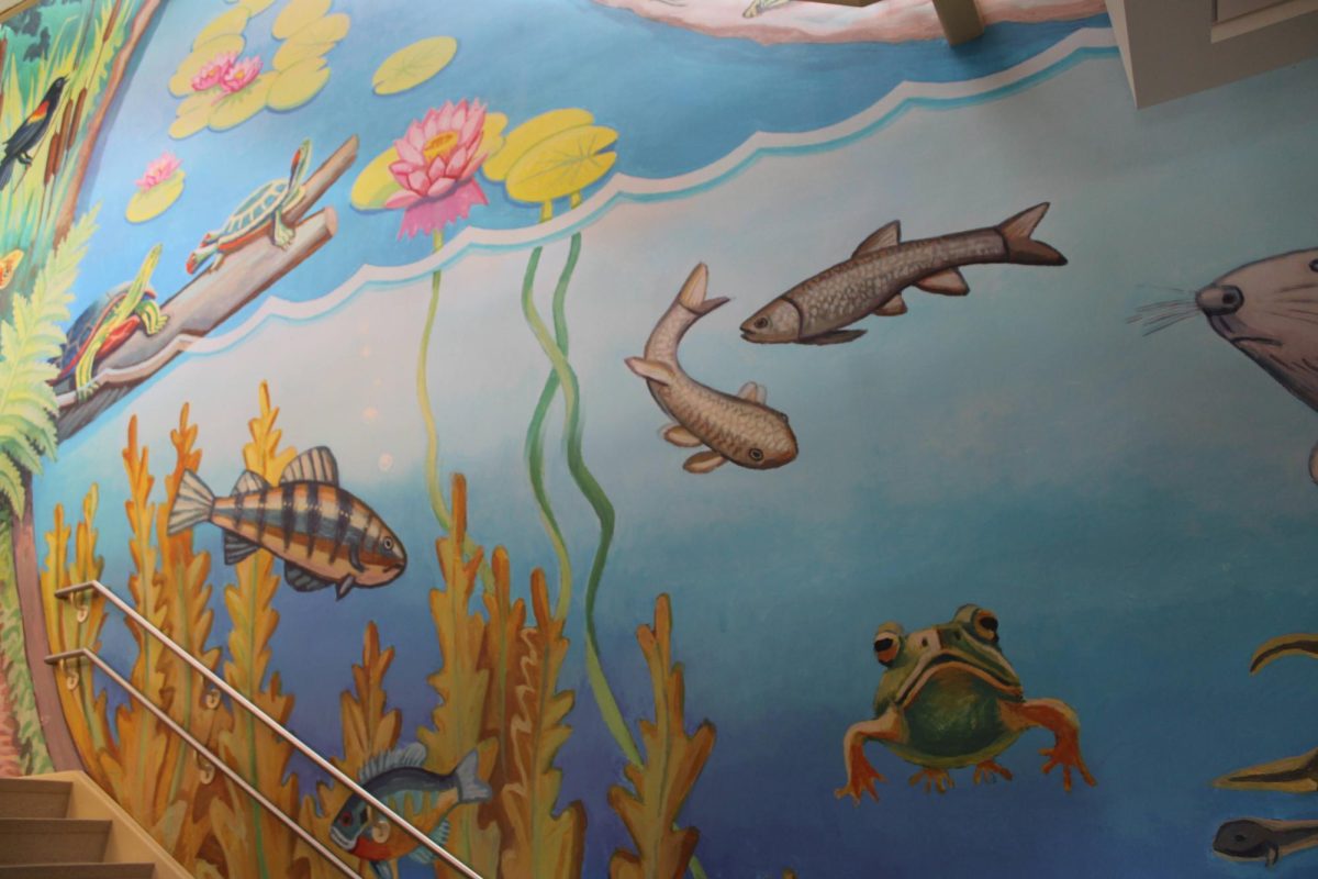 Professional painters were brought in to create gorgeous murals on the walls. 
