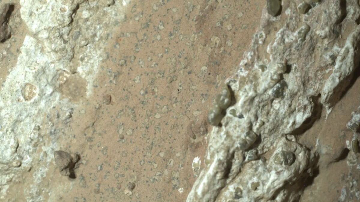 The leopard spots that were discovered on a rock called “Chayava Falls”. These spots indicate that Mars may have once been able to support microbial life.
