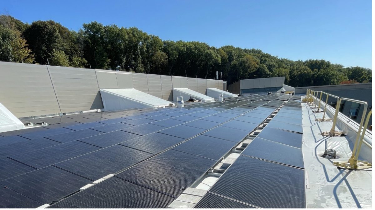 Foster Elementary School’s rooftop solar panels convert sunlight into usable energy for its building.