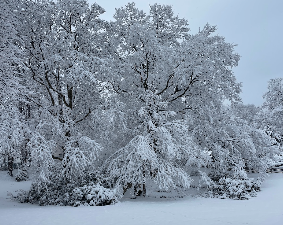 On Monday morning, February 23, students awoke to Hingham blanketed in multiple inches of snow, before the storm had even stopped. This was our second big dumping of snow in the past month.