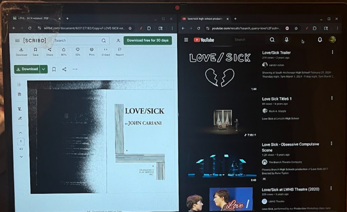 Love/Sick was one of the most popular plays in 2010 and has had around 5,000 productions. A quick search on the internet can come up with many recordings, renditions and scenes that are not included in the Hingham High School Drama’s production.