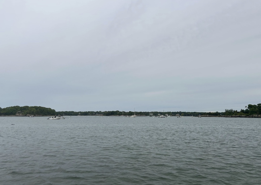Hingham Harbor starts to fill with more and more boats as each day passes.