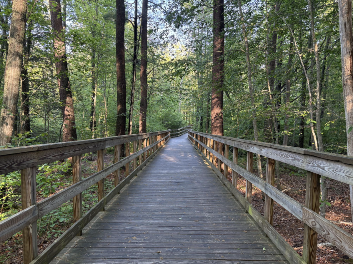 The Norwell Pathway, usually quiet and unpopulated, spans through miles of forest on the paved paths and winding wooden bridges.