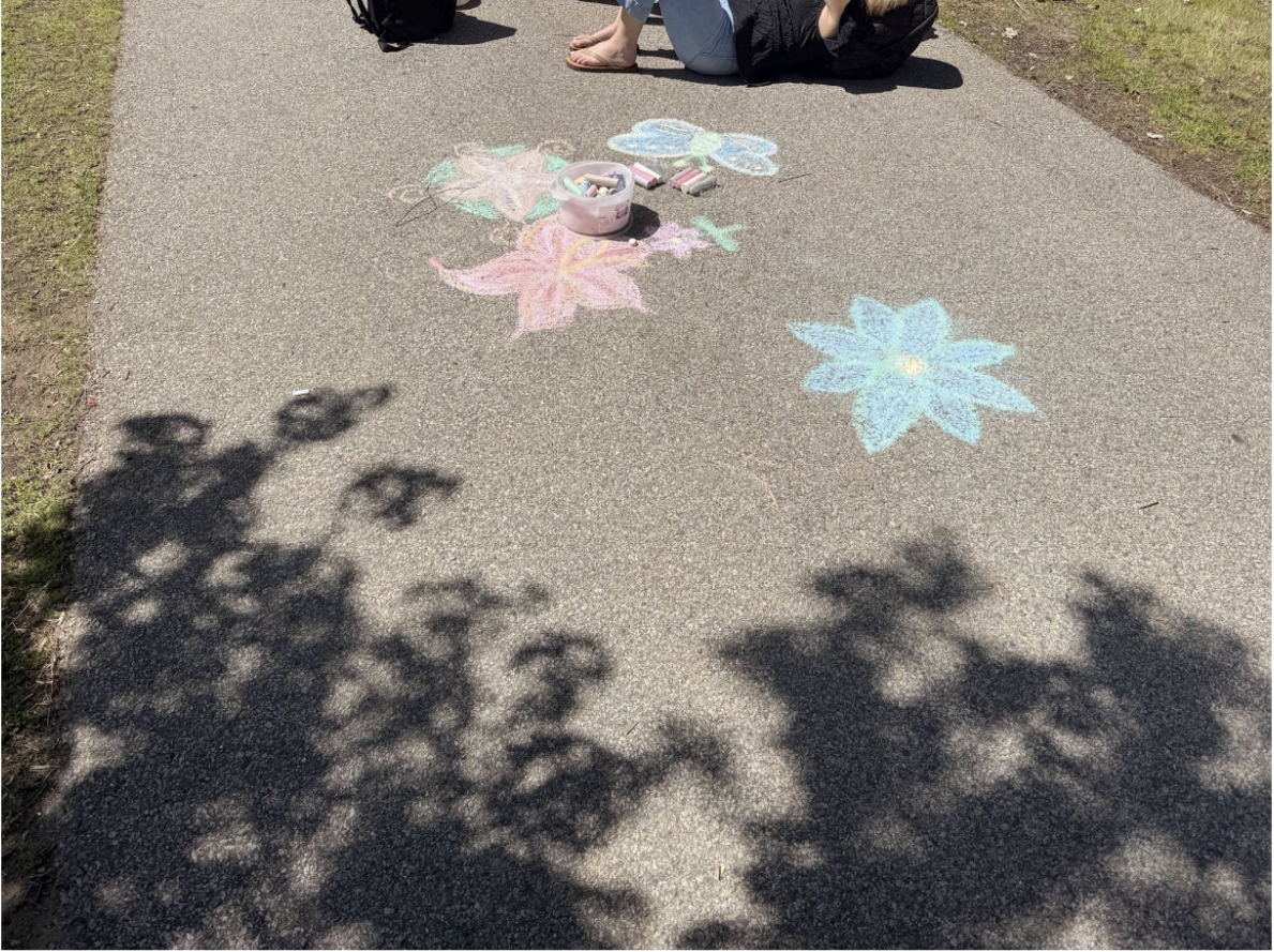 Beautiful chalk drawing sprinkle the sidewalks beside the field.