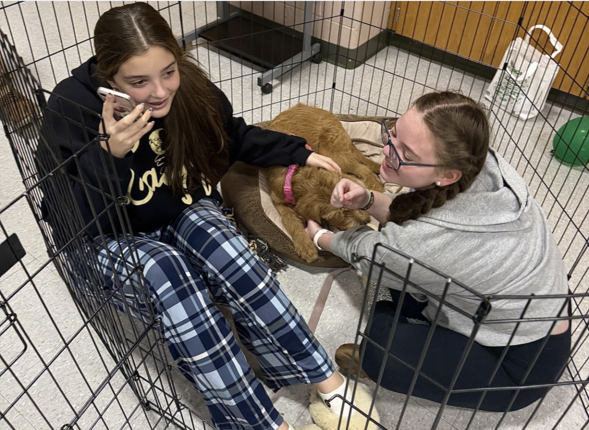 During the middle of an Encore rehearsal, Mr. Landis brought in his adorable puppy Rose. Resse Warshaw (Junior) and Breanna Weiss (Senior) decided to pet Rose and keep her company before singing
